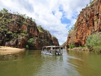 ニトミルク・クルーズ